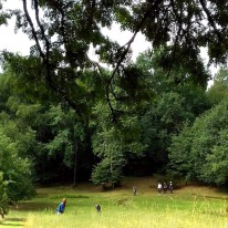 Golf du Sorbier